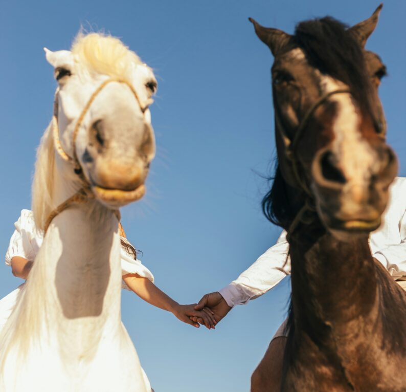 J-balla-photography-9DnFtocoJrw-unsplash